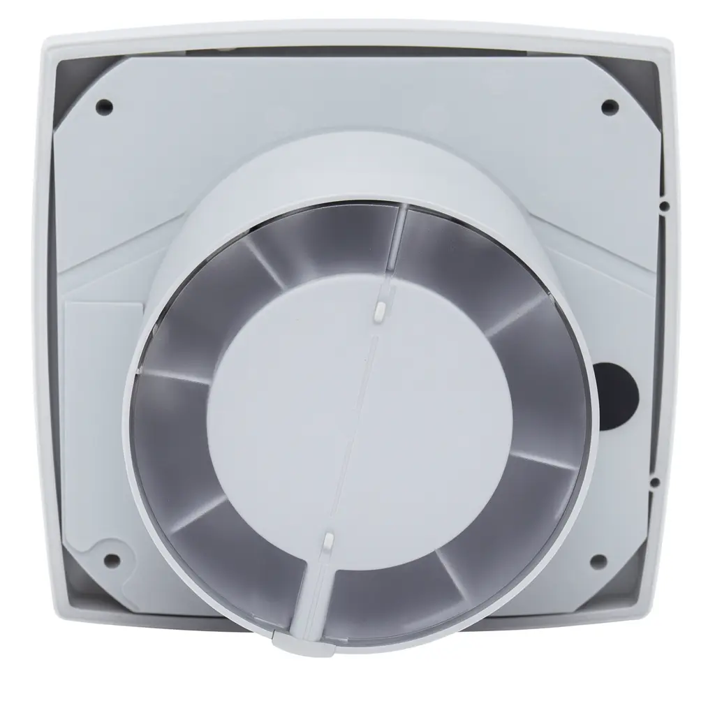 ChatGPT Image 28 ago 2025, 11_25_20 a.m..webp