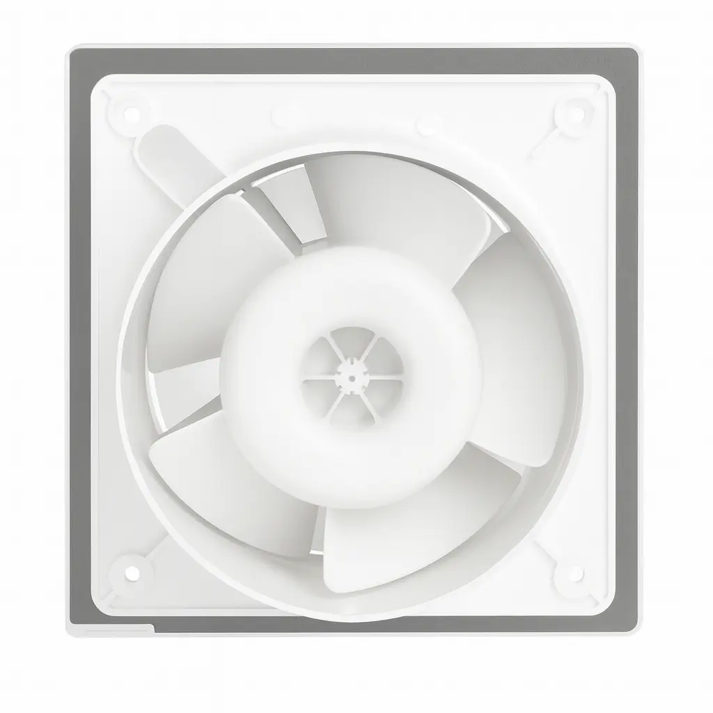 ChatGPT Image 21 ago 2025, 03_10_19 p.m..webp